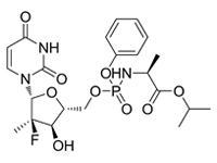 索非不韋，99%