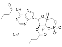 N6,2′-O-二丁酰基腺苷3′,5′-環磷酸 鈉鹽，97%