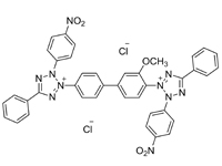 氯化硝基四氮唑藍(lán), 98%
