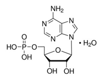 腺苷-5-單磷酸，98%