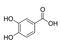 3，4-二羥基苯甲酸，CP，98%